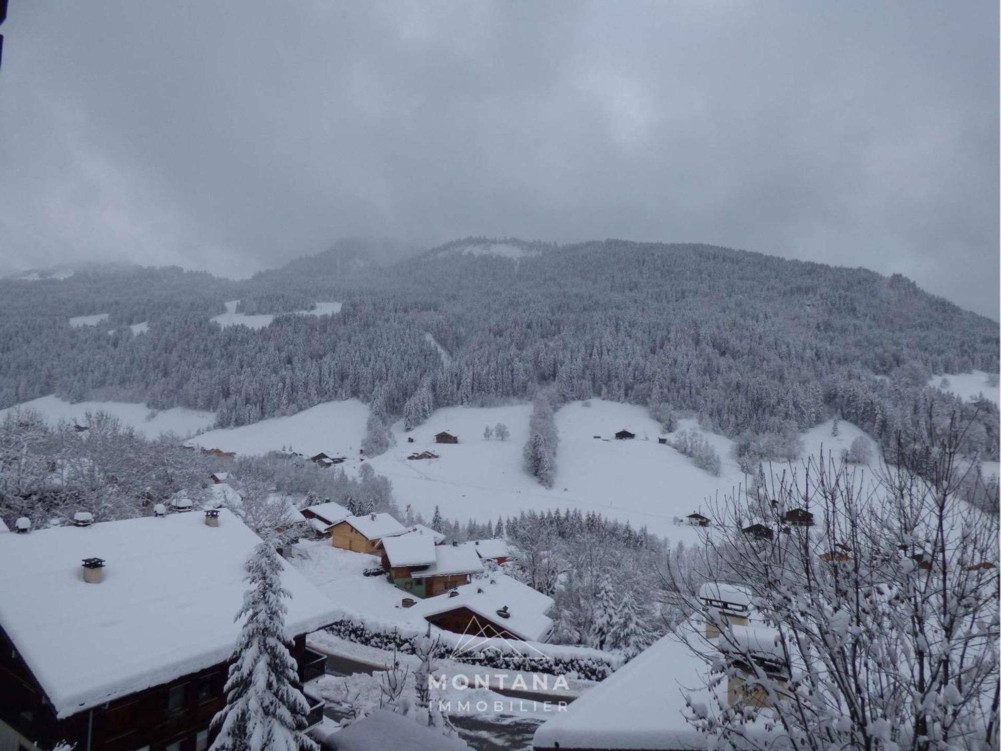 Studio Le Grand-Bornand, 2 pièces, 5 personnes - FR-1-458-125 Extérieur photo